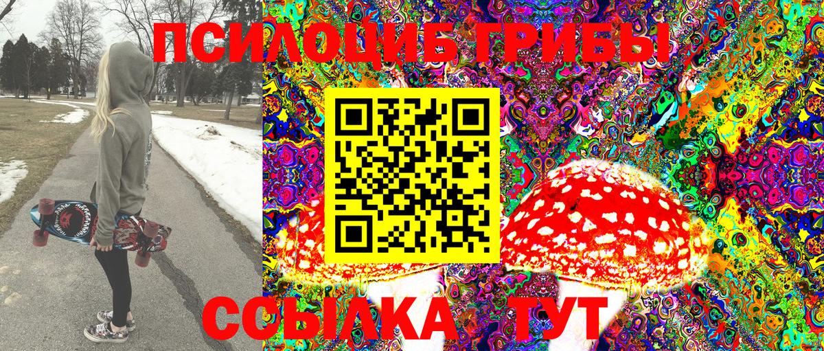 Галлюциногенные грибы Psilocybe Гулькевичи